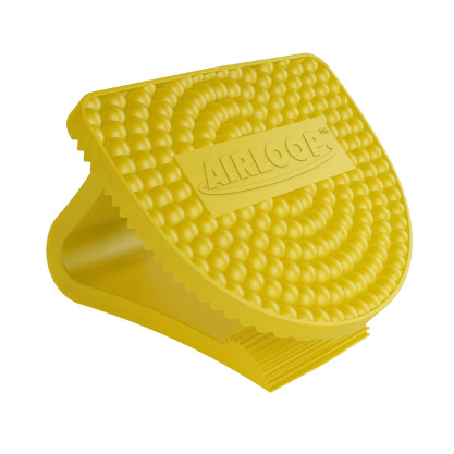 FCC-AIR-010 ENVIRO AIRLOOP - CITRUS MANGO x 10